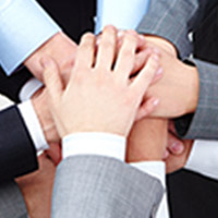 Organization Structure